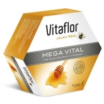 Vitaflor Mega vital 