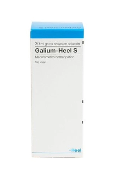 Galium S