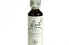  - Es una Flor de Bach® Original de acuerdo al tipo de personalidad sensible. Dirigida a personas que les cuesta acostumbrarse a los cambios.
