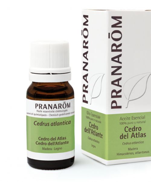 Aceite Esencial Cedro - - Tónico venoso y linfatico- Descongestivo prostático<br>- Cicatrizantes- Antiséptico<br>