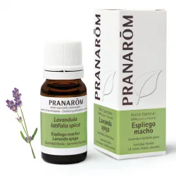 Calmante del sistema nervioso central, y de la piel. MUY POTENTE.- Antiespasmódico- Calmante del sistema nervioso central, relajante, ansiolítico- Anti-inflamatorio- Anti pruriginoso (anti-picor)- Antidepresivo
