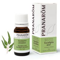 Antinflamatorio y analgésico.