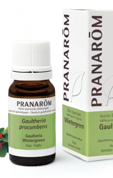 Gaulteria Antinflamatorio y analgésico.