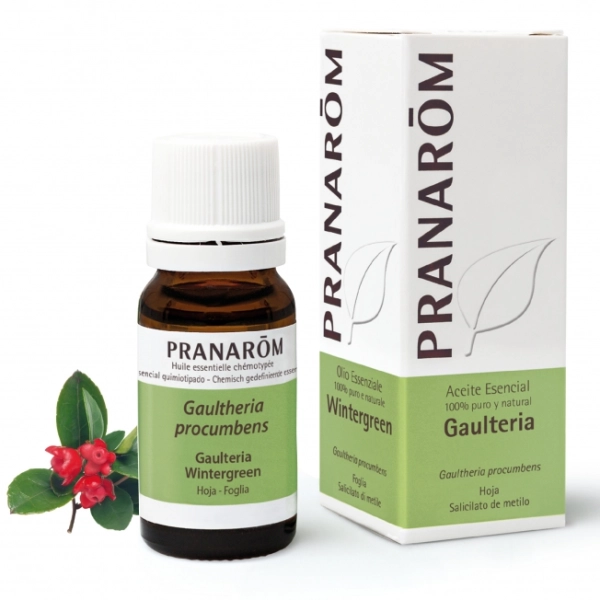 Gaulteria Antinflamatorio y analgésico.