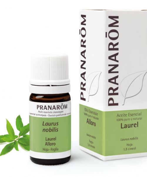 Aceite Esencial Laurel - - Analgésico- Antifúngico- Antiinflamatorio- Neurotónico - Antiviral- Anticatarral, expectorante- Cicatrizante<br>