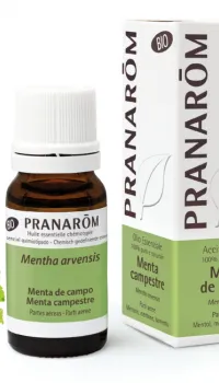 Aceite Esencial Menta de Campo