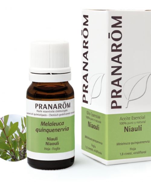 Aceite esencial Niauli - - Antiviral por excelencia. - Estimulante inmunitario<br>- Bronquitis, gripe, resfriados, sinusitis, faringitis y rinofaringitis. - Varicela, Herpes- Antibacteriano<br>