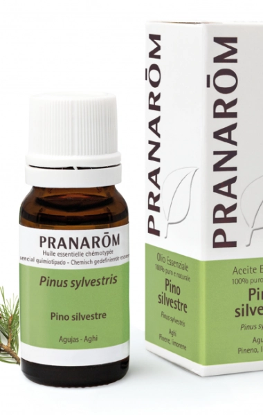 Aceite Esencial Pino Silvestre