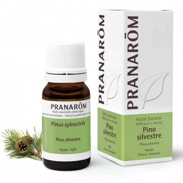 Aceite Esencial Pino Silvestre Aceite Esencial Pino Silvestre