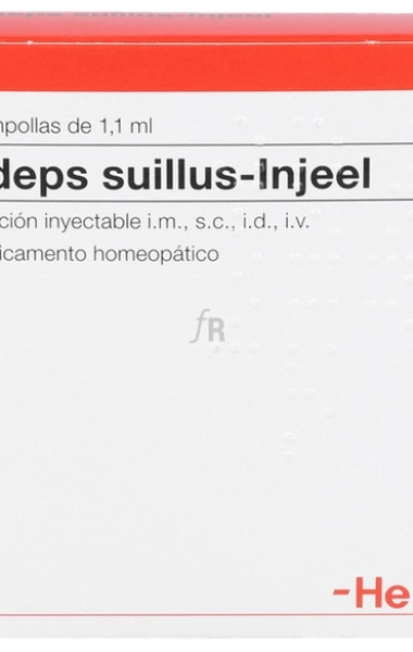 Adeps suillus-Injeel 