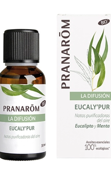 La difusión Eucaly’Pur
