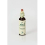 Scleranthus (Scleranthus) 