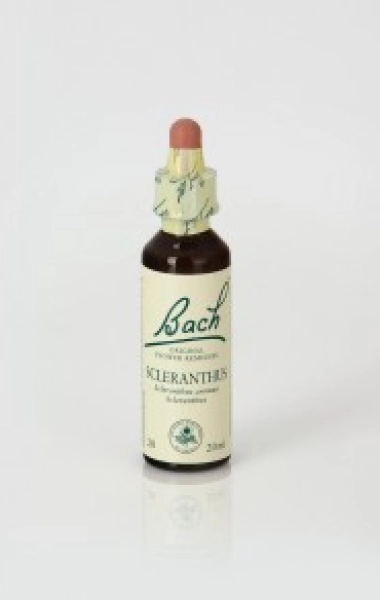 Scleranthus (Scleranthus) 