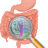 Limpieza intestinal