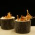 Cordyceps