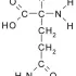 Glutamina