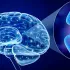 Neurotransmisores