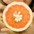 Semilla de Pomelo