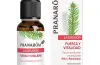  - Notas afrutadas para energizar y revitalizar cuerpo y mente. A base de aceites esenciales para usar en difusor.Una sinergia revitalizante y tónica. Vitalidad y tonicidad en caso de cansancio pasajero o periodo dificil.
