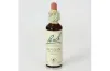  - Es una Flor de Bach® Original de acuerdo al tipo de personalidad insegura. Dirigida a personas que se sienten fácilmente desmoralizadas.