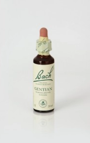 Gentian (Genciana) 20ml con gotero Nelsons