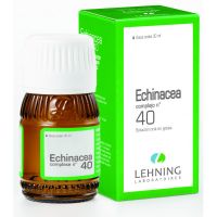 ECHINACEA N° 40  