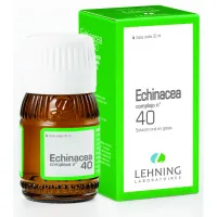 ECHINACEA N° 40 