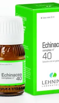 ECHINACEA N° 40 