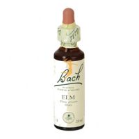 Elm (Olmo) 20ml con gotero Nelsons