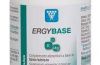 Ergybase -  Contribuye a mantener los huesos sanos y fuertes.