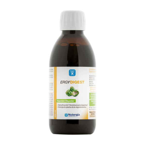 Ergydigest Ergydigest
