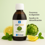 Ergydigest 