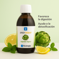 Ergydigest 