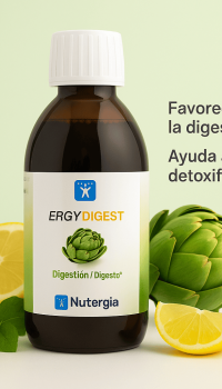 Ergydigest 