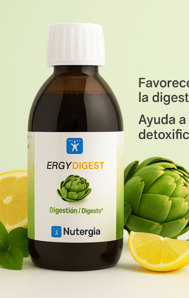 Ergydigest Ergydigest