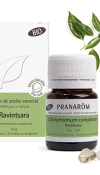 Ravintsara capsulas