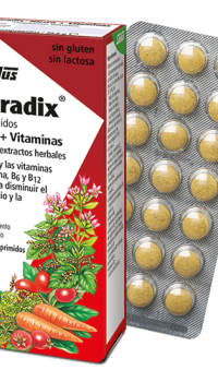 Floradix 