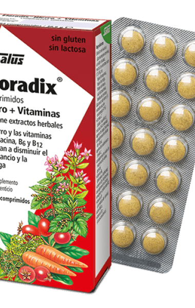 Floradix Floradix