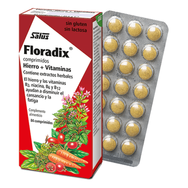 Floradix Floradix