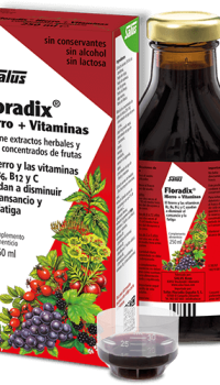 Floradix 