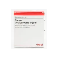 Fucus Vesiculosus