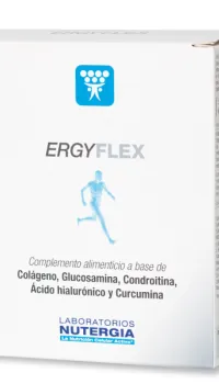 Ergyflex