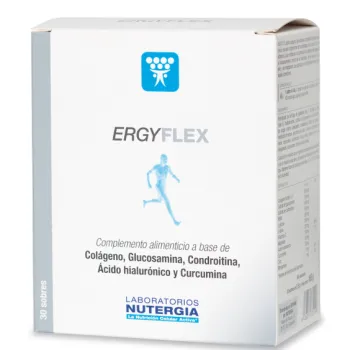 Ergyflex