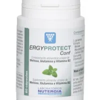 Ergyprotect Conf