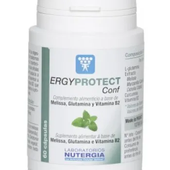 Ergyprotect Conf