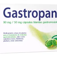 Gastropan