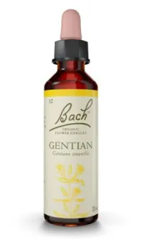 Gentian (Genciana) 20ml con gotero Nelsons