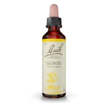  - Es una Flor de Bach® Original de acuerdo al tipo de personalidad insegura. Dirigida a personas con una actitud pesimista.