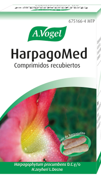 Harpagomed