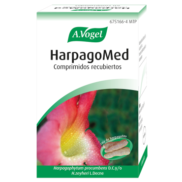  - Harpagofito en cápsulas. Antiinflamatorio y analgésico natural natural. Además, también tiene propiedades antiespasmódicas por lo que sirve para combatir espasmos. También se emplea para tratar las molestias digestivas como los gases, falta de apetito o distensión abdominal.
